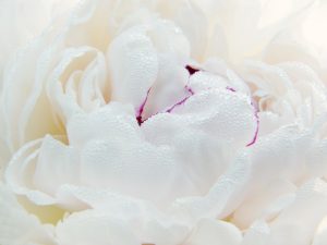 Kosmetyki DIY w 5 minut – idealne na prezent